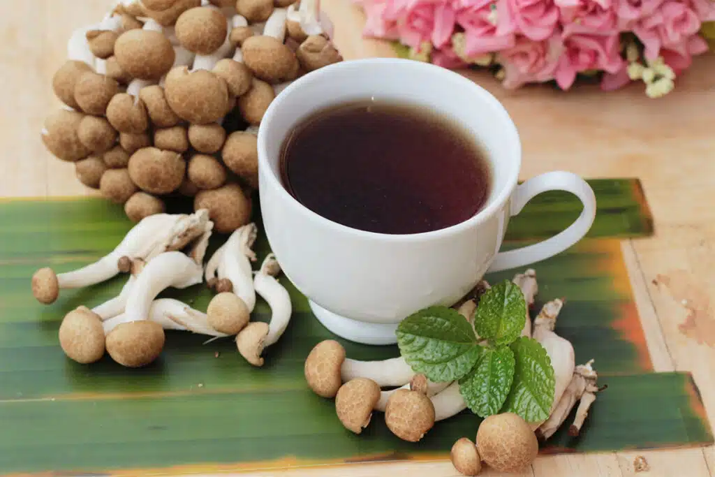 lions mane spiritual benefits mushroom tea